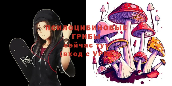 кокс Медвежьегорск