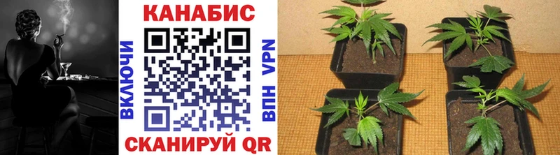 Канабис VHQ  Кодинск 