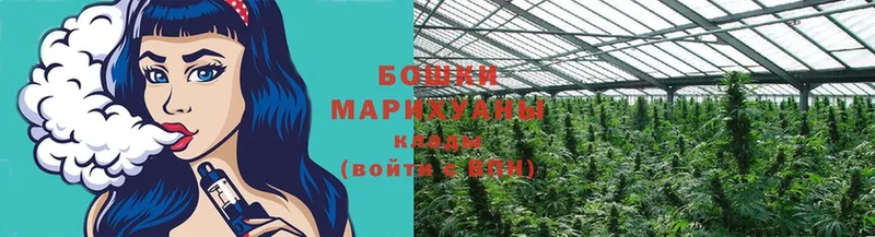 где купить наркотик  Кодинск  МАРИХУАНА Bruce Banner 